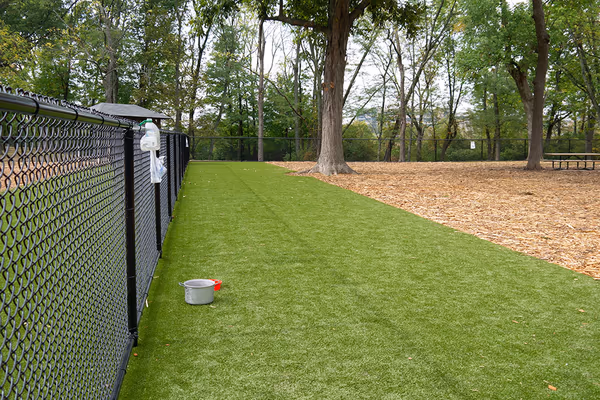 Dog Park at Schappacher Park photo 1